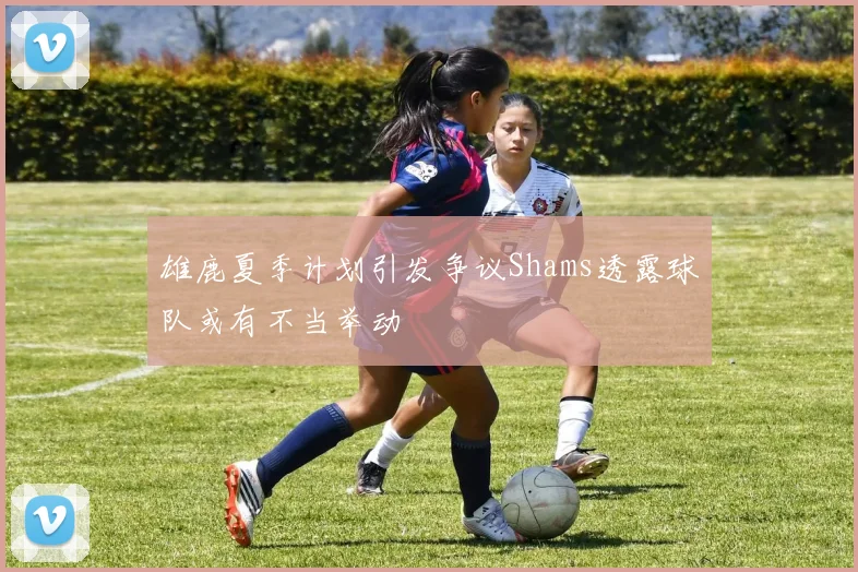 雄鹿夏季计划引发争议Shams透露球队或有不当举动